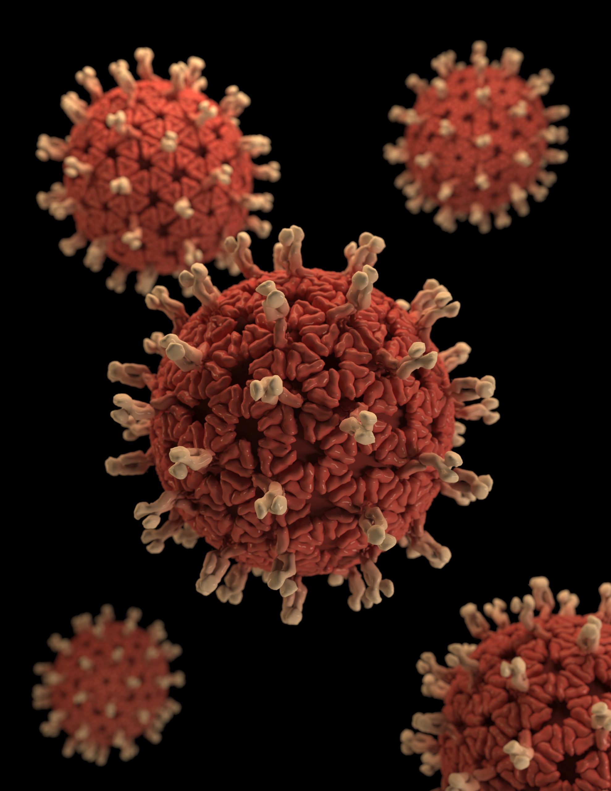 image de virus a contrer par un vaccin